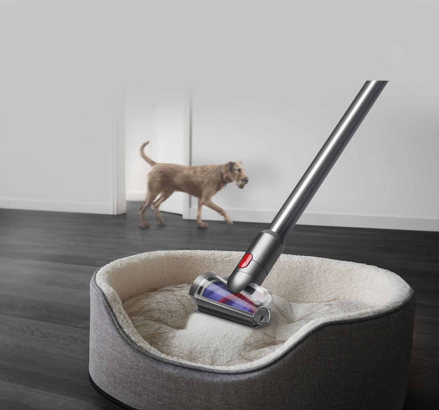 Mini brosse auto-démêlante aspirant des poils d'animaux